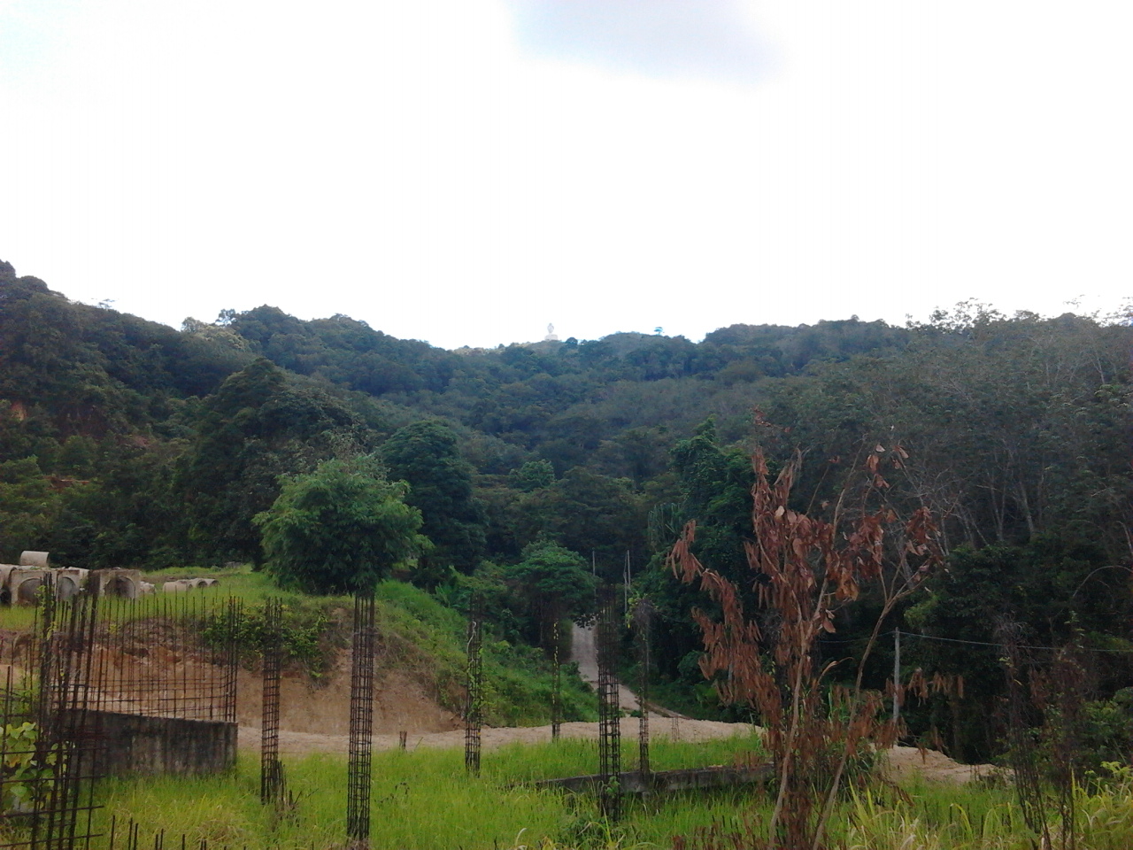 Buddha land